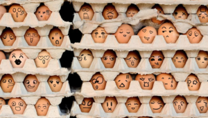 Emotions - Budo - Isadora Pointet