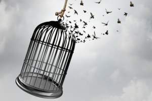 Confiance en soi - Isadora Pointet