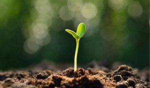 Confiance en soi - Isadora Pointet